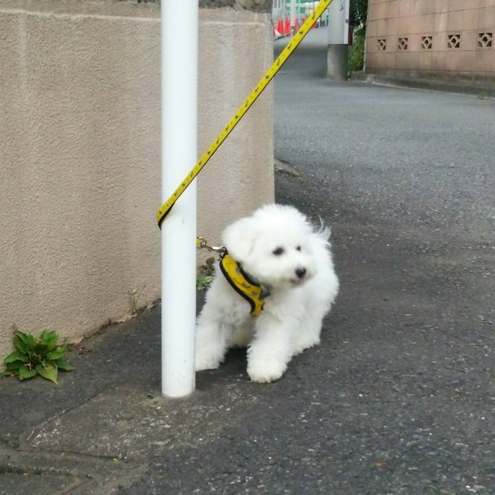 03e80031 c225 4c7d bc92 e63e66d56fbe