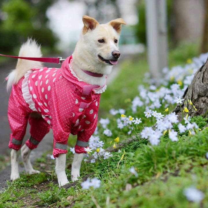 03e80364 daf1 4902 8445 2283d0530083