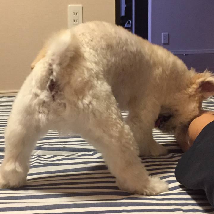 03e86059 8ef8 4474 8c95 274cfbf94282