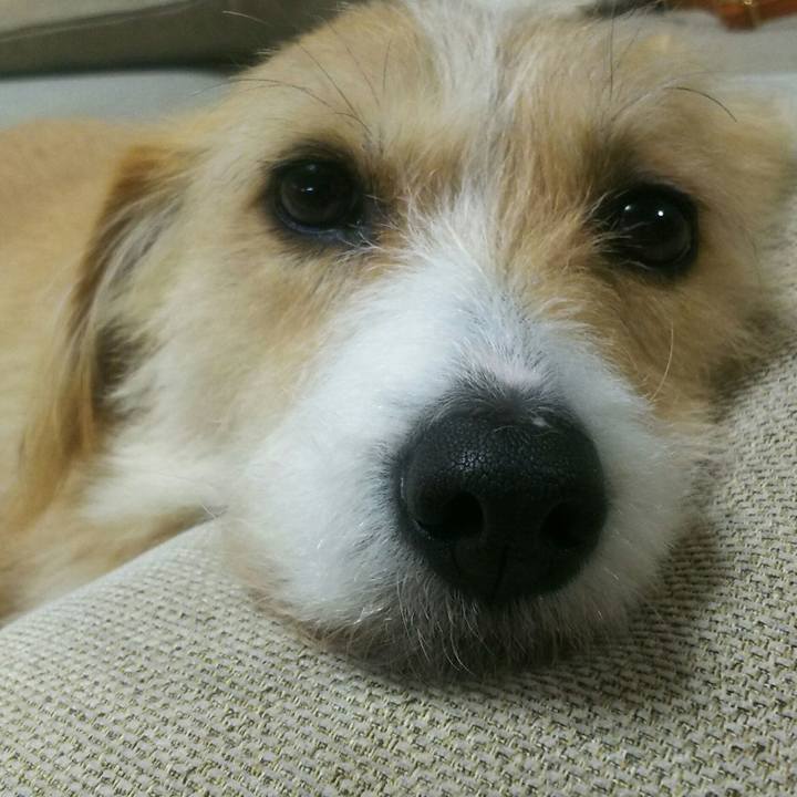 03e939ac f229 412a a5c0 6a321b80ef8f