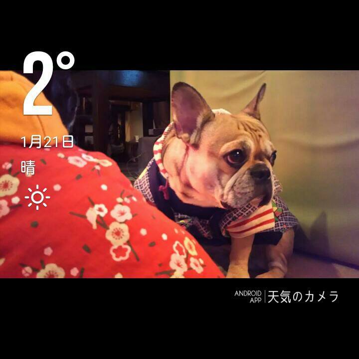 03ea2e75 9009 4b16 b82d e636c848d62c
