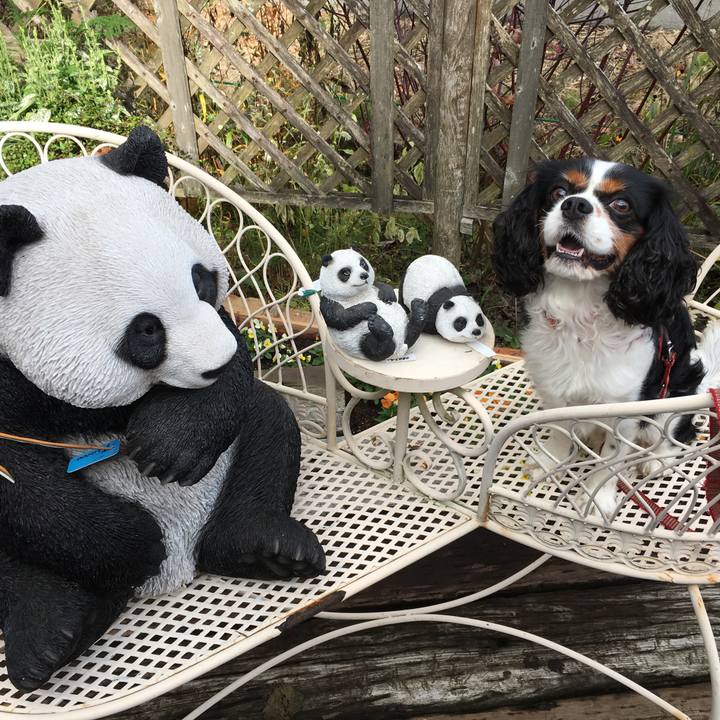 03ea3766 6217 45ad 868d feef72e4ae20