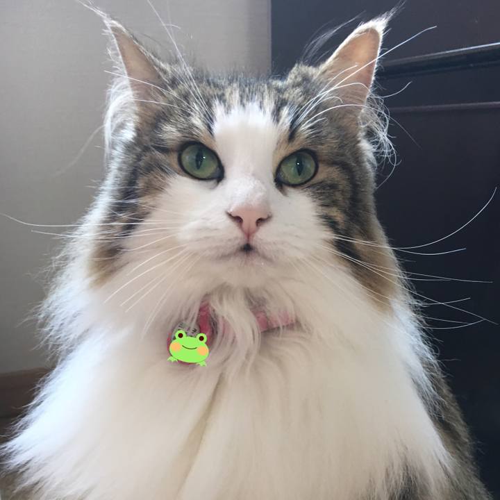 03ea709b a5e9 4c97 85d4 47c5762ba4a7