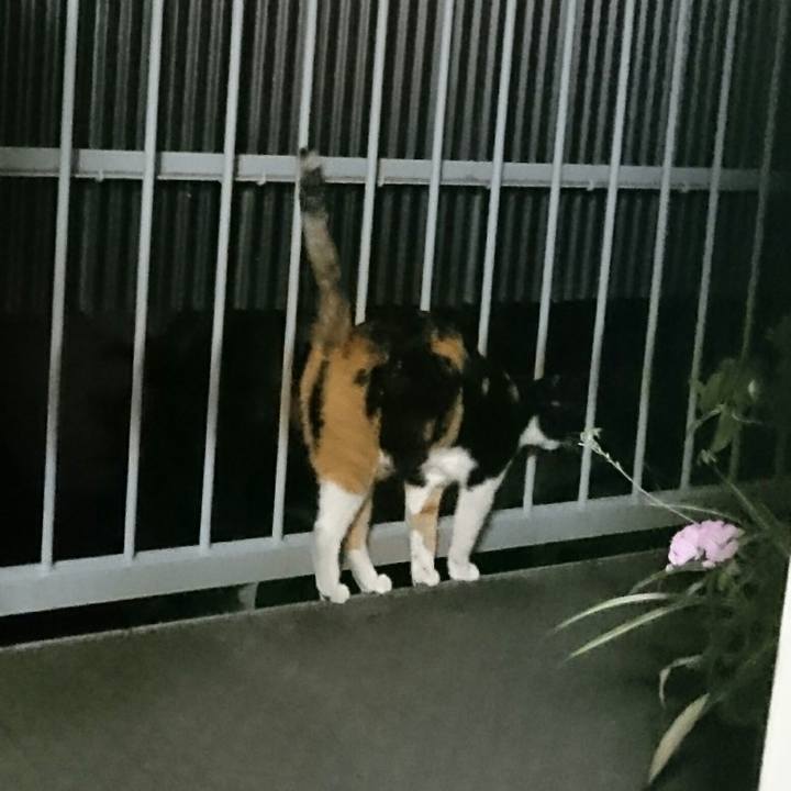 03ead506 190b 40cb acec 453f5ebab237