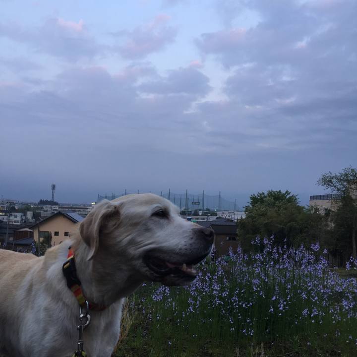 03eaf7ad e1d5 4863 81e2 676bb31ecce2