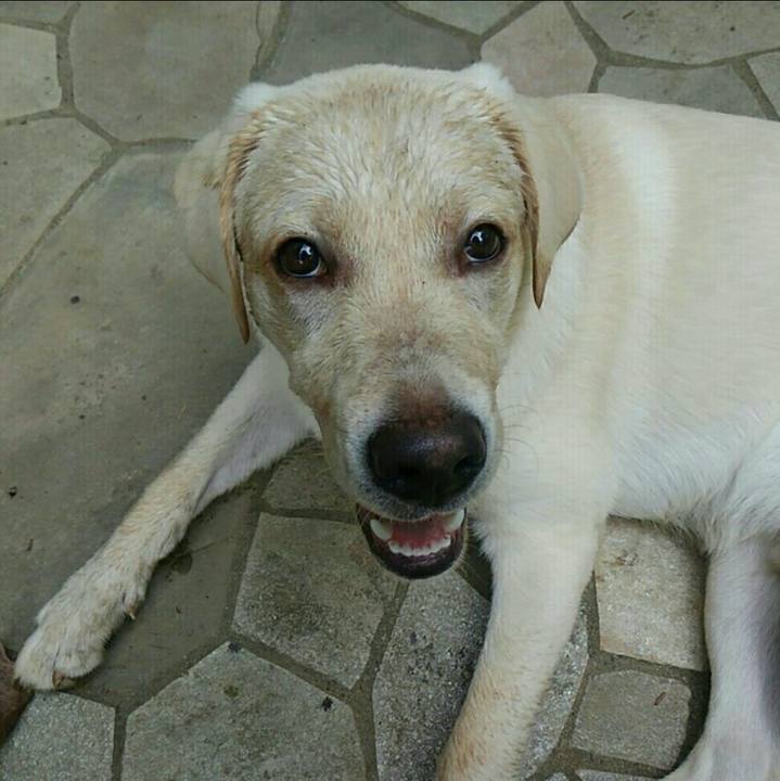 03eb1e34 4af1 4b5b bee1 c551b9475c46