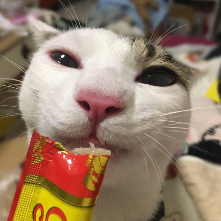 03eb606e c489 48dd b640 8da59ee10dbd