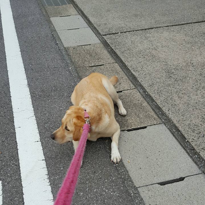 03eb66c6 a16f 400c 9cce 425c95dfa44c