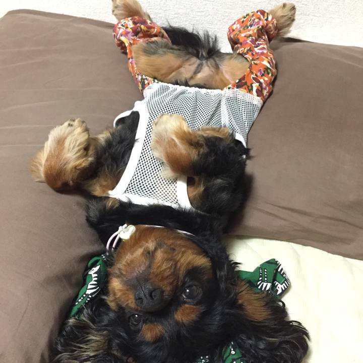 03eb6739 2236 430b bfb5 1ba29945178d