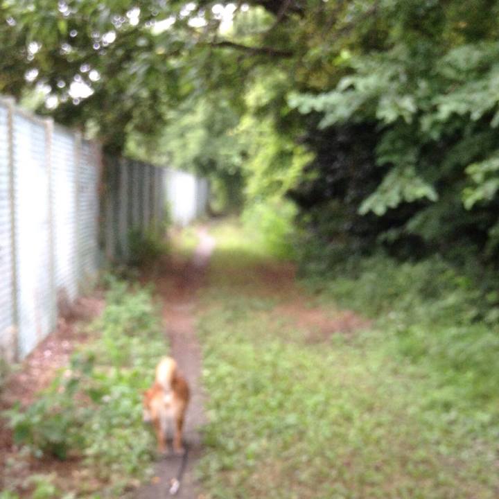 03eb7ecf d4fe 4f0a a82d 736f4b7f3194