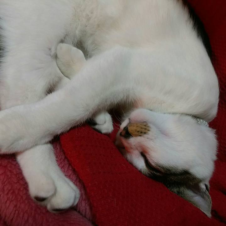 03ebdf47 e80b 4513 8ec7 441b0b82f981