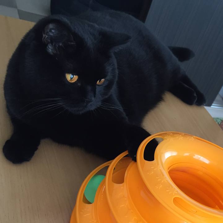 03ebecb0 4d2c 49c8 98f4 1d890294f655