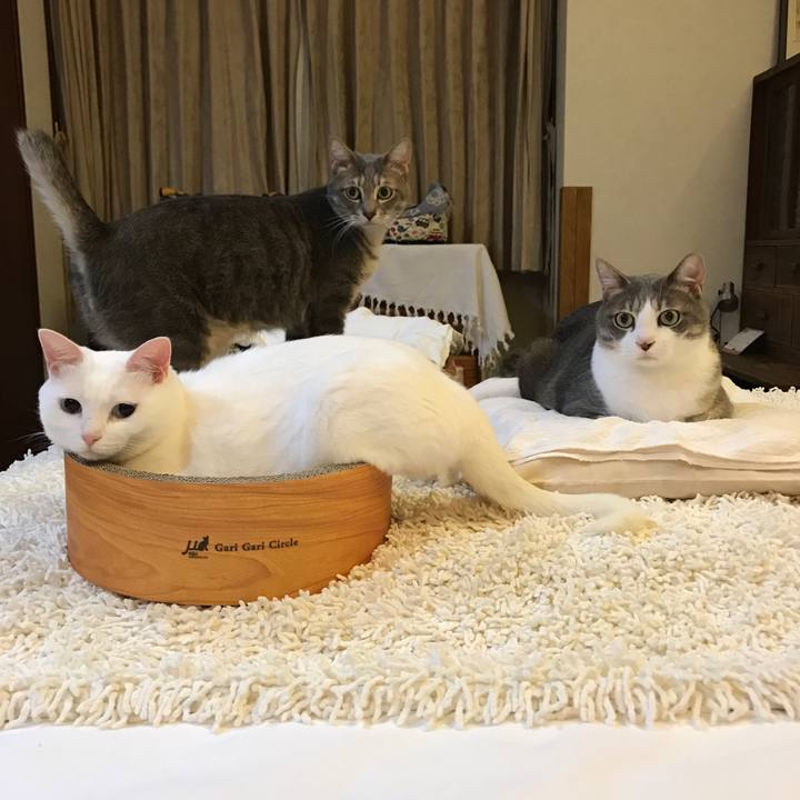 03ecdb4d 97fd 40ec 87bc a2573aca4a9f