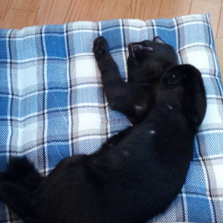 03ed0417 84ca 404b a9b1 b391fe99efae