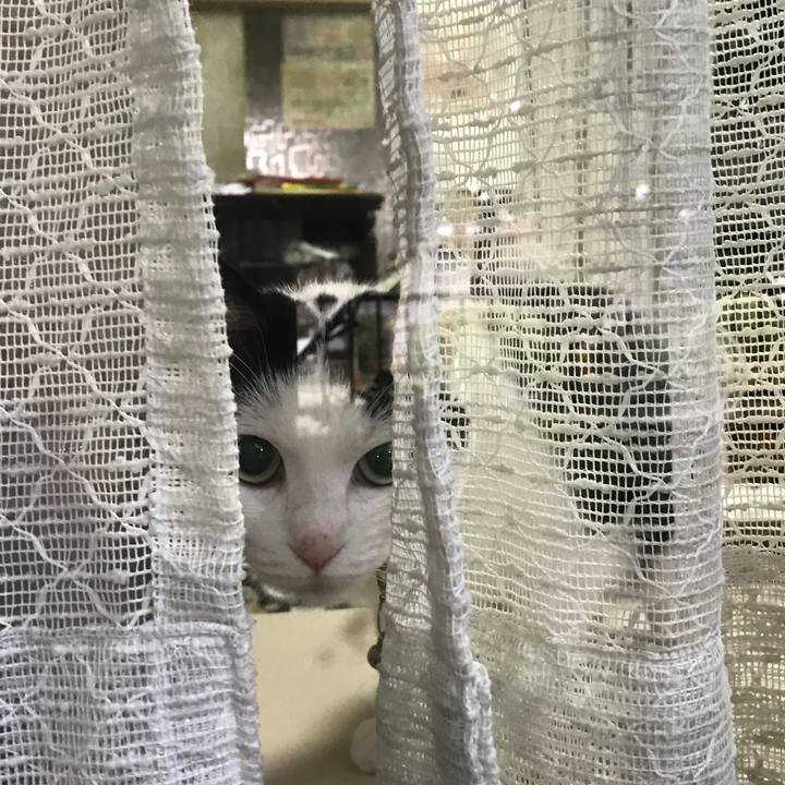 03ed8d14 7625 41dc ba1a 8f214e02f23c