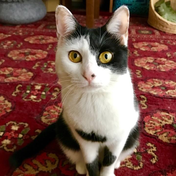 03eece87 8d6a 49ad beac f193276a61a4