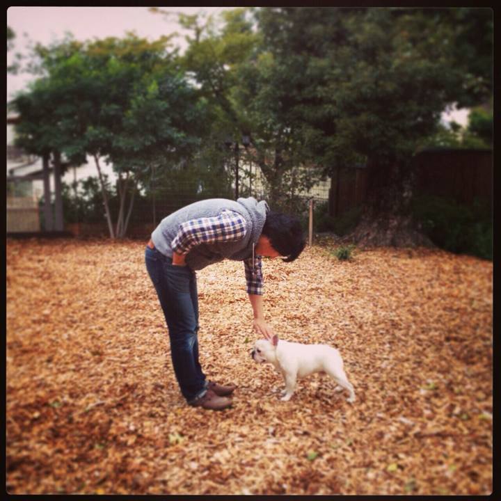 03efd562 76cc 40f2 96cf cd5343abf869