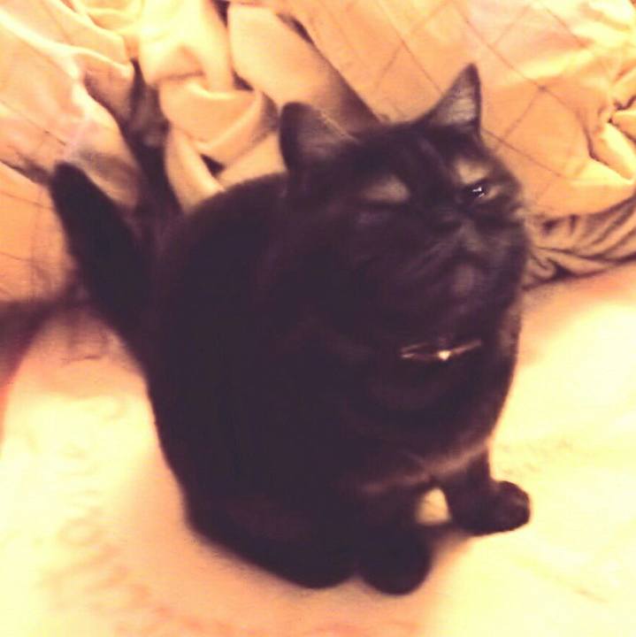 03f1166b 51c7 49b1 b972 6388e0fb716f