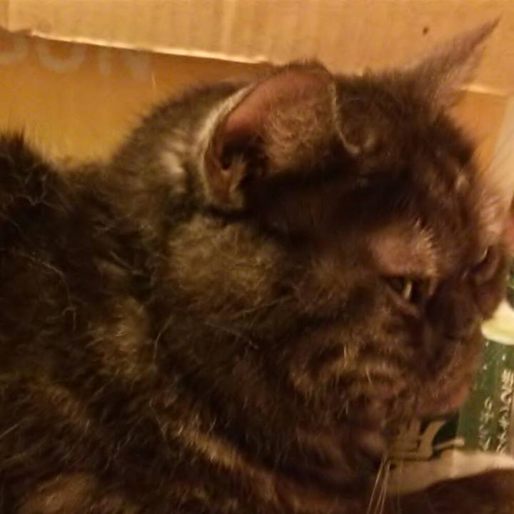 03f16d8d d9bf 4cd7 93e0 0bd72fd1d0a8