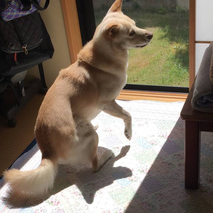 03f19837 4850 4e93 9b8a 9f4089d1d9f4