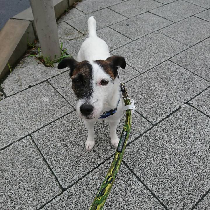 03f1aed9 08e2 416f add4 cb2cfdd5f58f