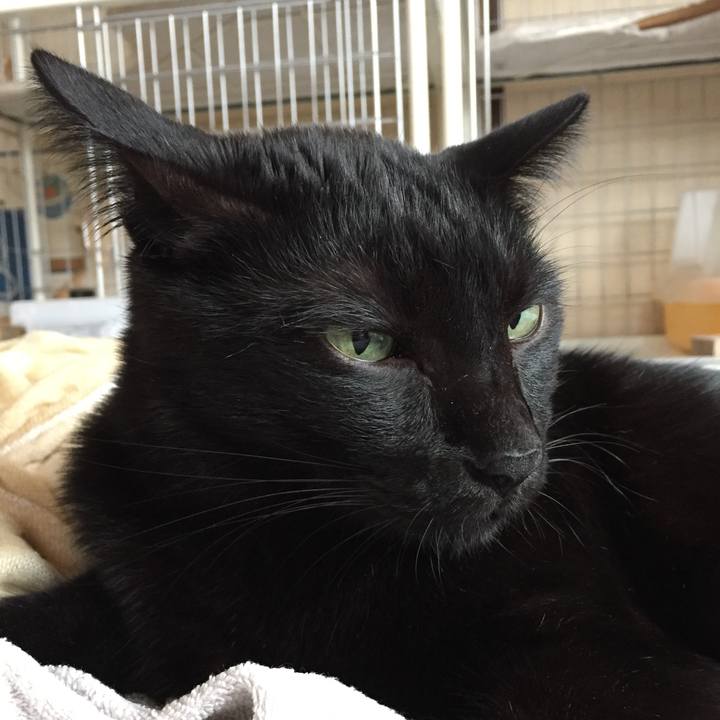 03f1fe5c ccf9 4c85 9ca7 9c37f907d8da