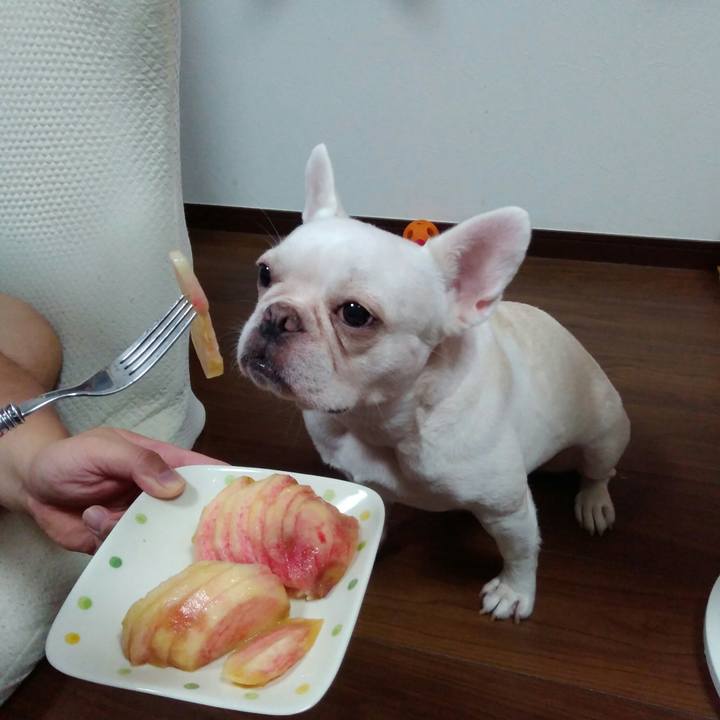 03f26c45 d08c 45ad a408 240be9e7dc1f