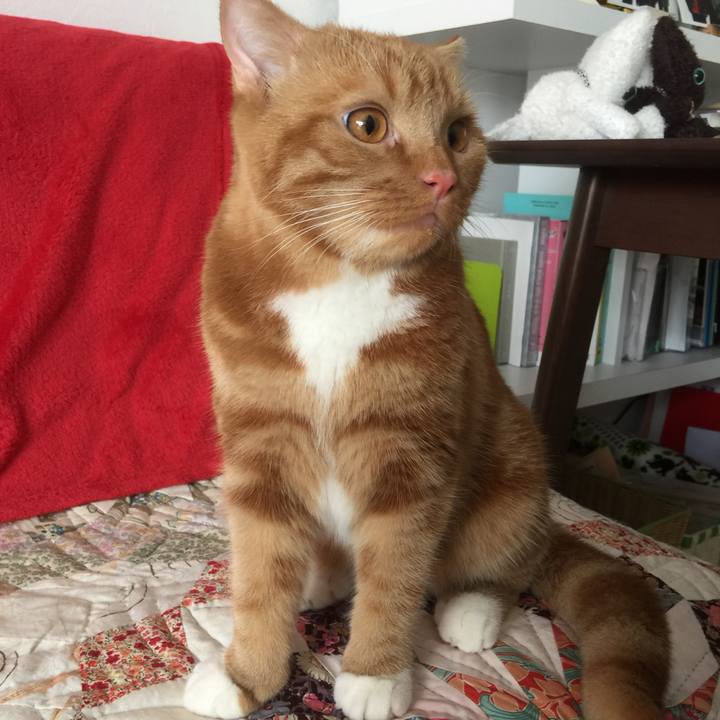 03f31db7 010c 4651 a69b 1fc2ff36735b