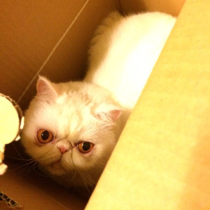 03f37a2d 3b3a 4077 9ce4 d95d1b2646b3