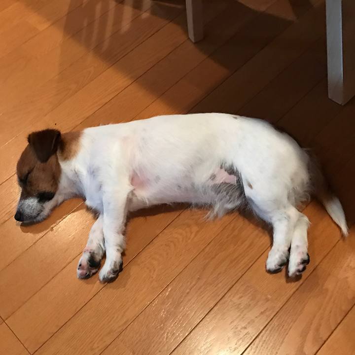 03f3efc2 b800 46b7 9248 856213e6d269