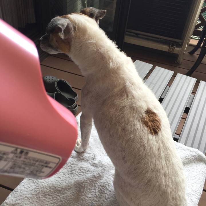 03f4275c 79e5 4352 b5fa 49c88467f8e8