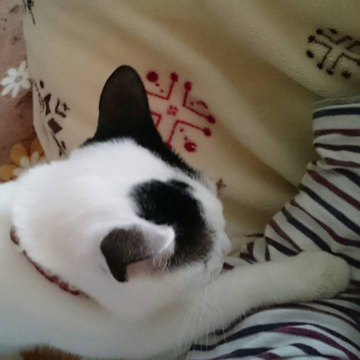 03f483f6 c310 40f0 a838 9443a2a4a1b3