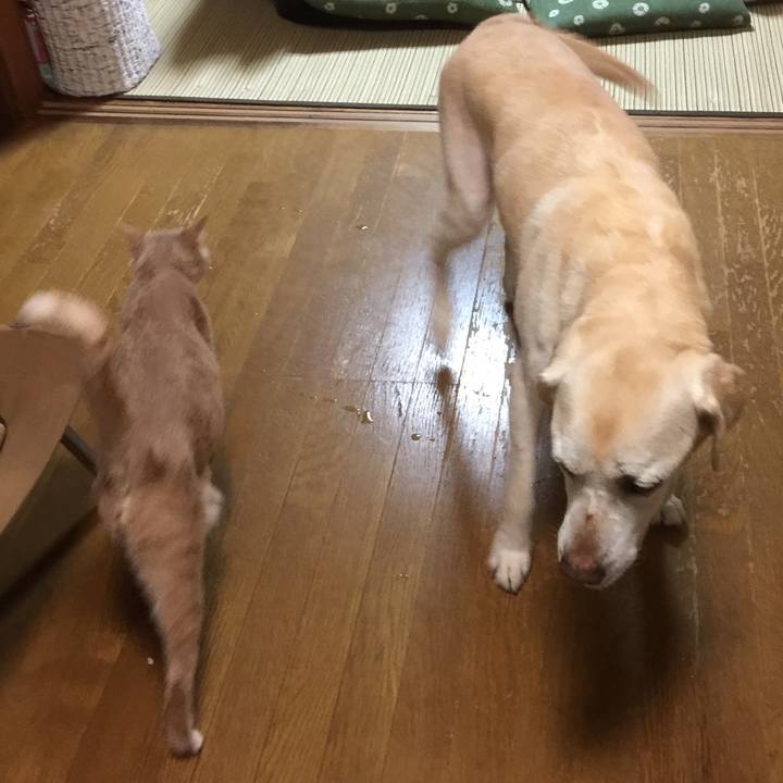 03f53c30 35b1 4240 8dda 15830f679243