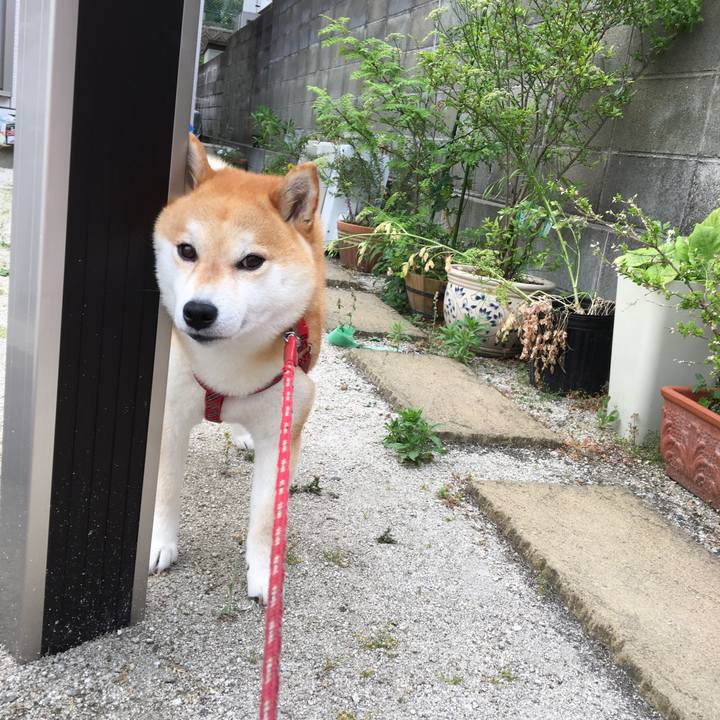 03f59888 9be7 4b8d 9b2d 500ee161e998