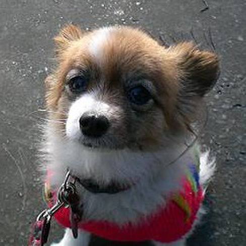 03f5be5e 59e4 4af4 9470 a7c77121b5bf