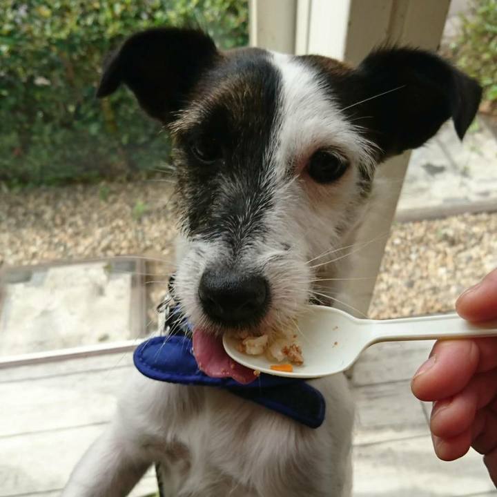 03f64b31 59e5 4610 9fc6 0ff0c13dd9ae