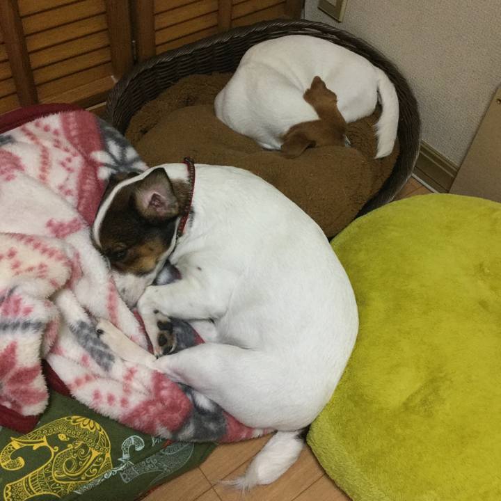 03f67b0c cddb 4a2e b0a2 e47116aca48d