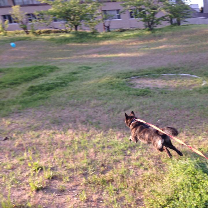 03f69391 cbeb 452b 8360 36d208c93aea