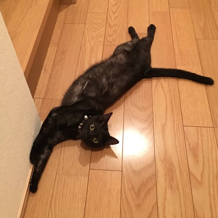 03f797e3 21f1 411c 8276 77e89c36d1b2