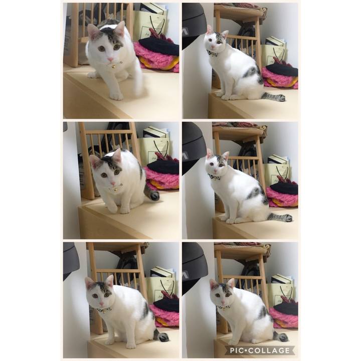 03f7a758 0c83 4b63 a6e0 3e98ef481826