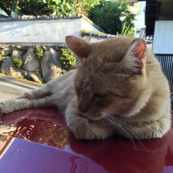 03f7eca2 cbfe 4048 ae45 7b20fc1b8163