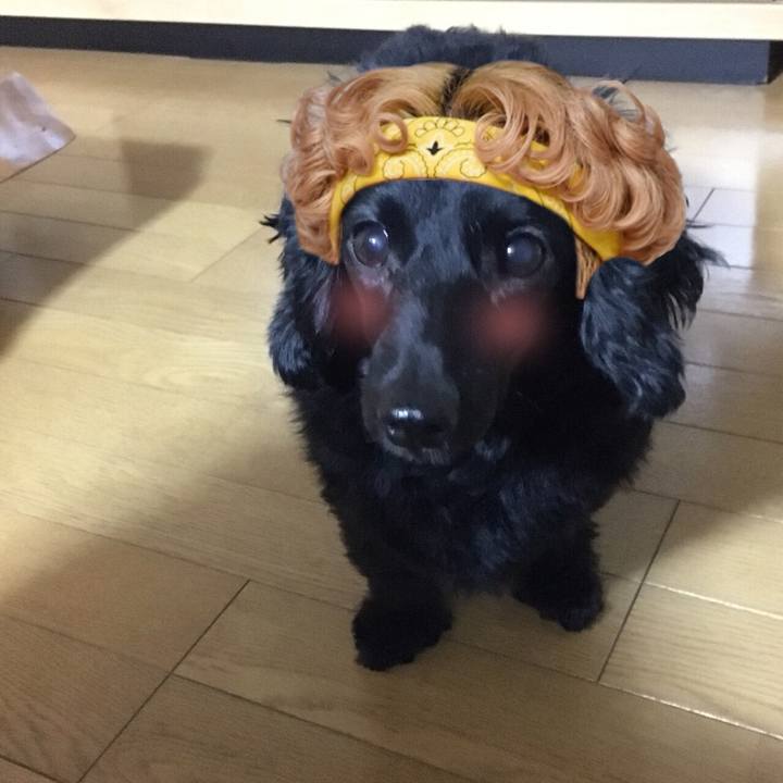 03f83dbf 66f6 471f 8b30 55565c632dfe