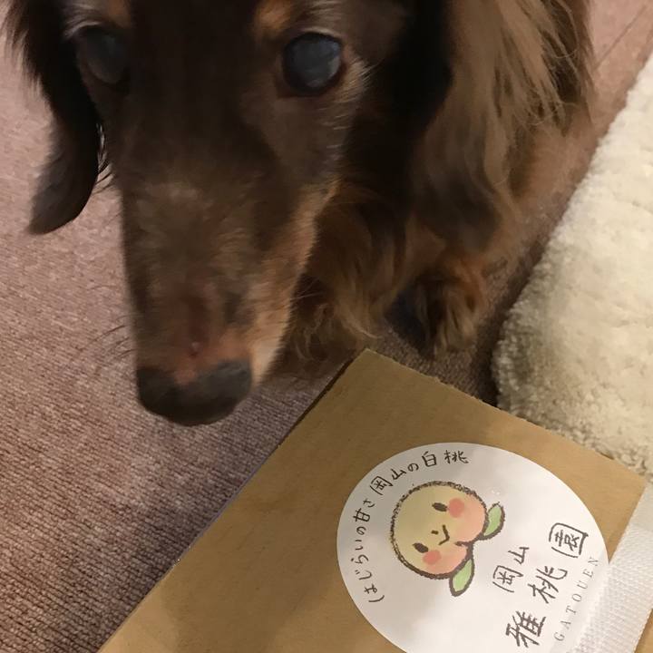 03f85571 6897 454d a075 ea123812f6e5