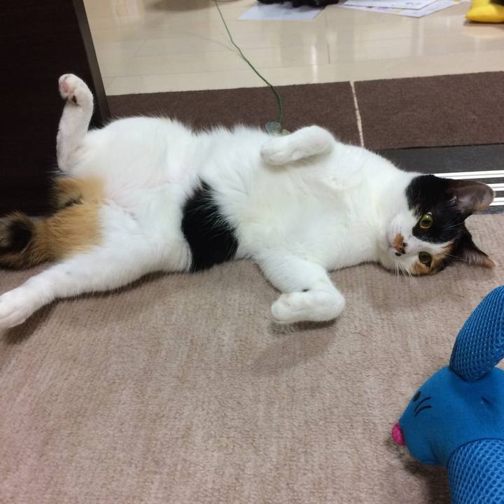 03f85c24 f889 46ed 97b5 3eba864355b6