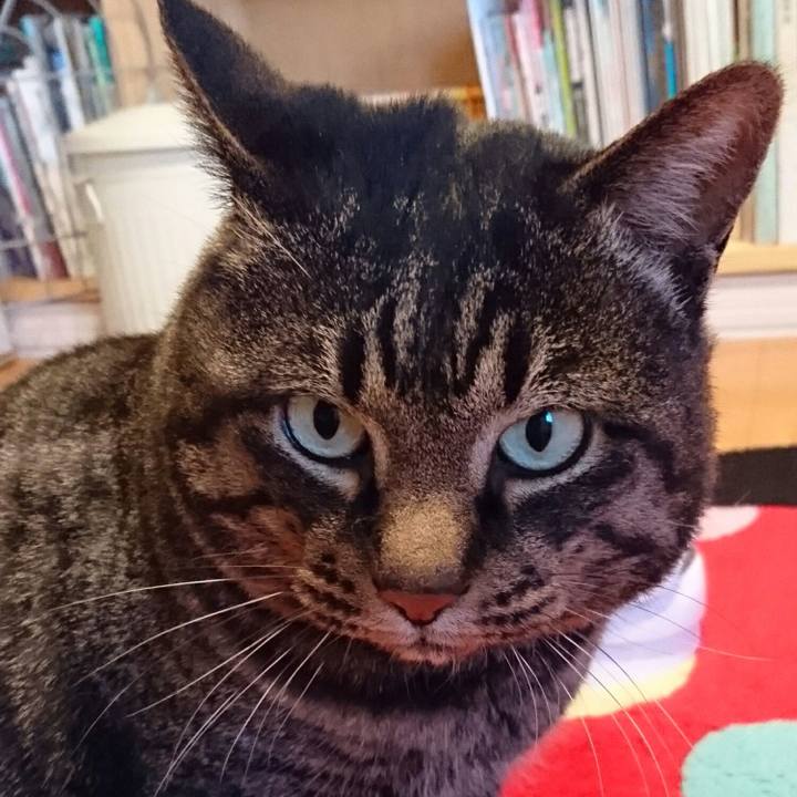 03f875cd 65f8 40ce a21e 5f43d864679c