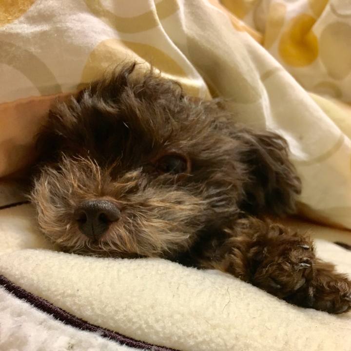 03f87f28 52fe 4d84 bfca cb8cd026f6b7