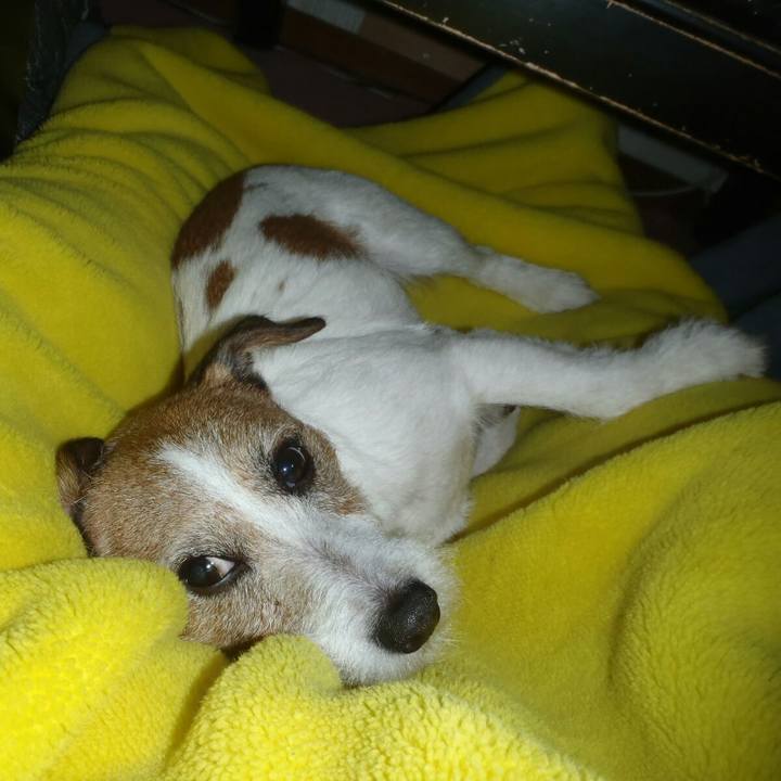 03f9a932 ecd8 4d53 8489 ac5462323d03