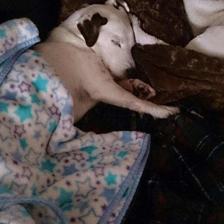 03fa0157 2b17 428e bda7 a94451515f4e