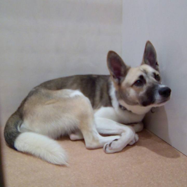 03fa5a05 a0ba 45e6 be6b 601029148ffb