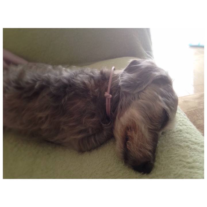 03fa5ce4 0f52 4cca 9c48 3de14cd954f1